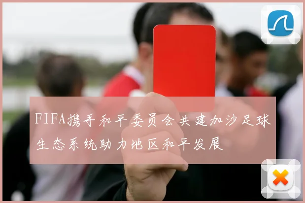 FIFA携手和平委员会共建加沙足球生态系统助力地区和平发展